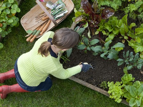 Gardener pruning shrubs in Newham garden